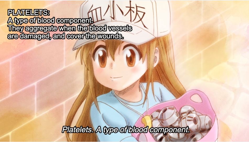 platelet